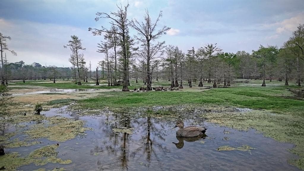712 acres in Panola County