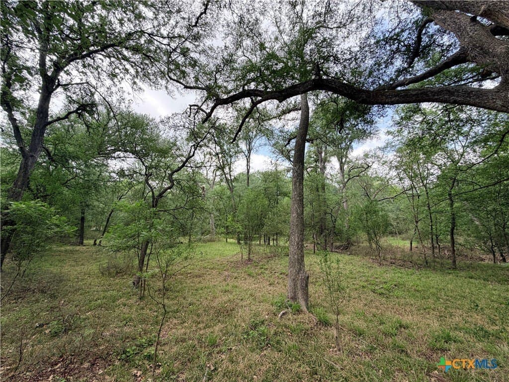 12.18 acres in Caldwell County - photo 13