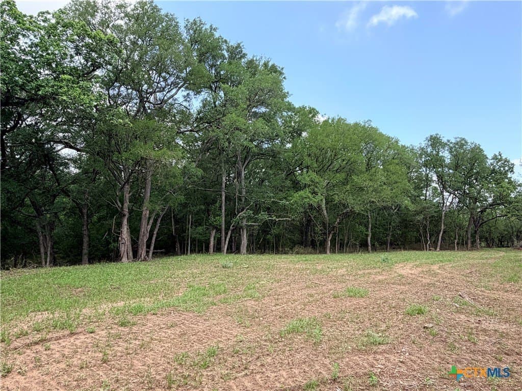 12.18 acres in Caldwell County - photo 6