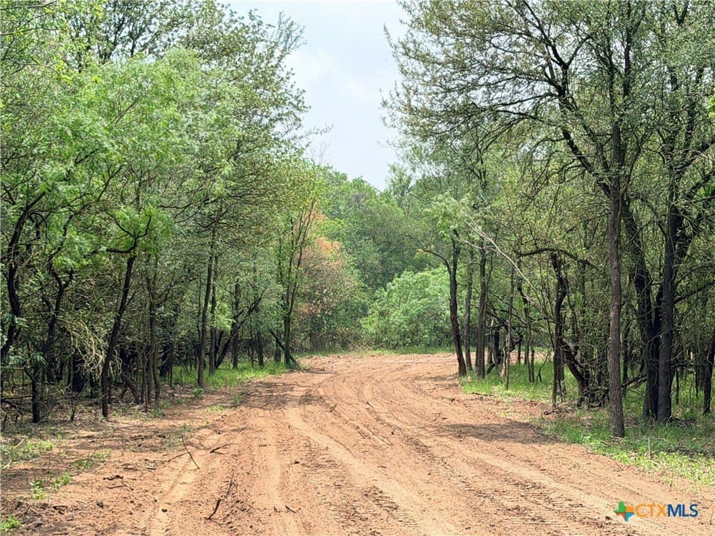 12.18 acres in Caldwell County gallery image 4