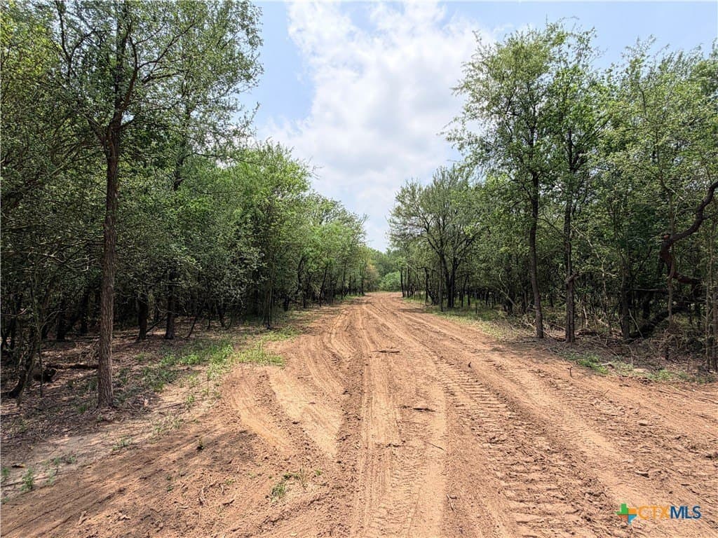 12.18 acres in Caldwell County - photo 8