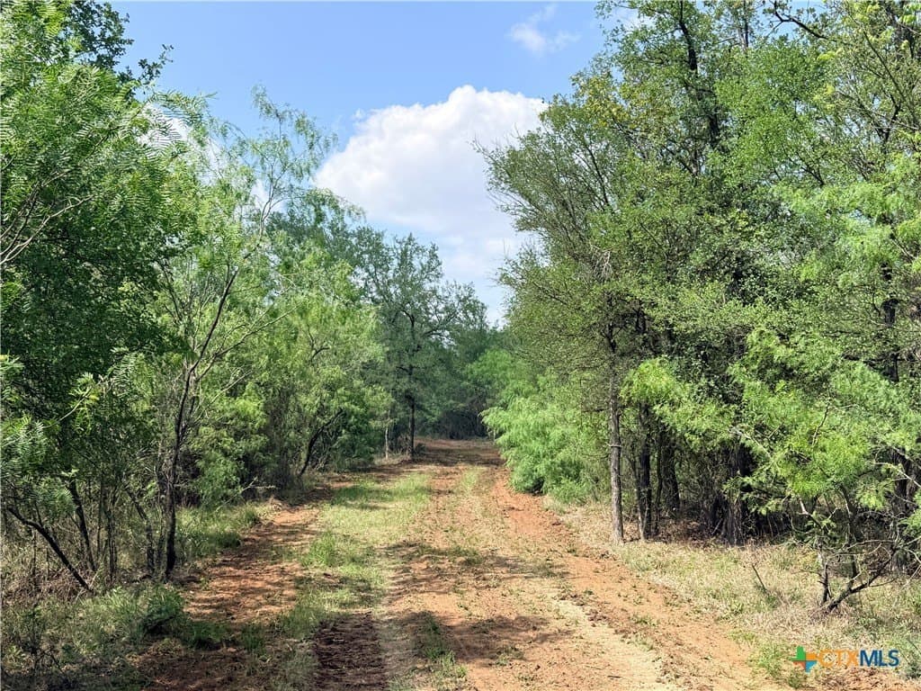 12.18 acres in Caldwell County - photo 14