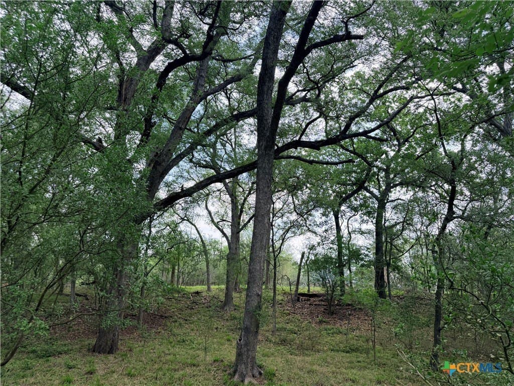 12.18 acres in Caldwell County - photo 12