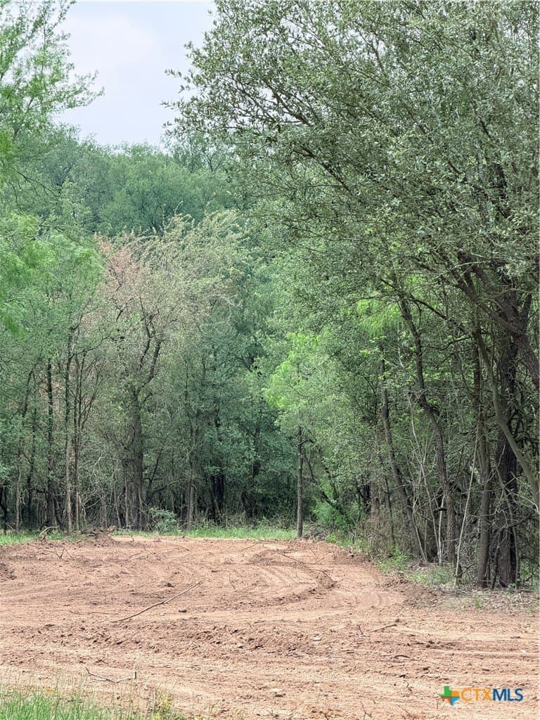 12.18 acres in Caldwell County - photo 15