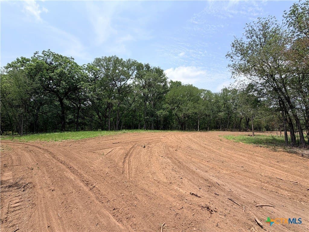 12.18 acres in Caldwell County gallery image 2