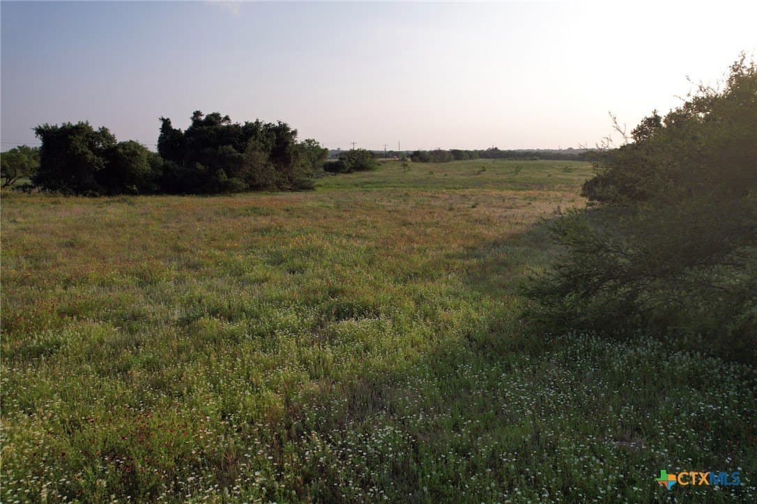 0.78 acres in Wilson County gallery image 2