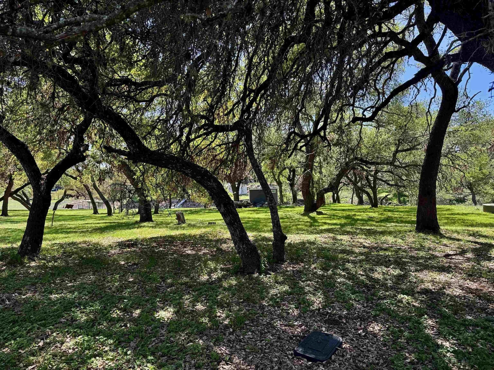 0.37 acres in Llano County gallery image 2