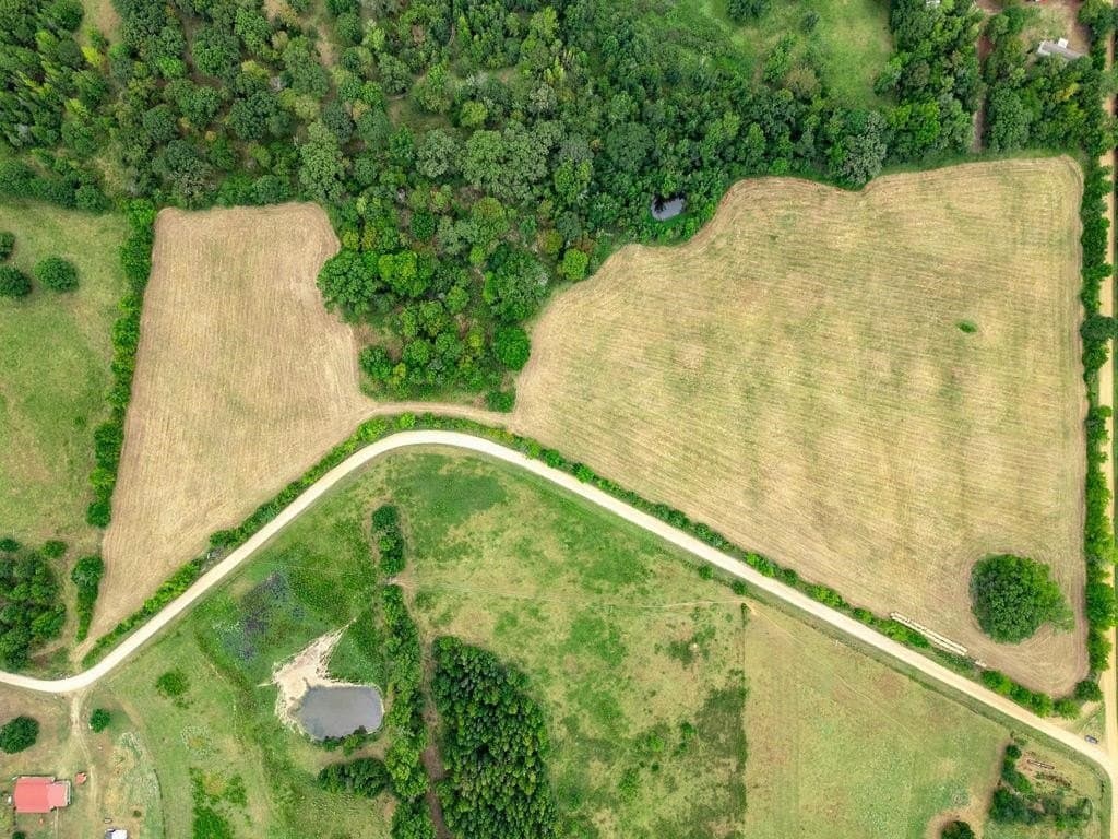 19.43 acres in Bowie County - photo 5