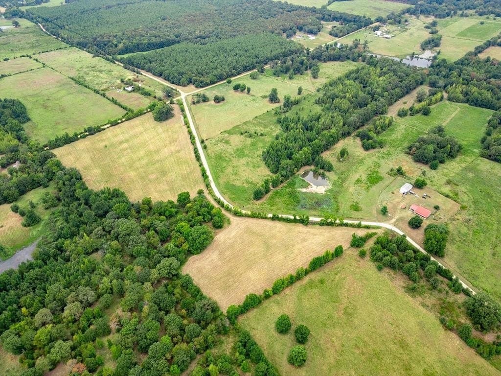 19.43 acres in Bowie County - photo 7
