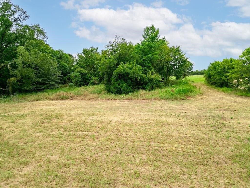 19.43 acres in Bowie County - photo 12