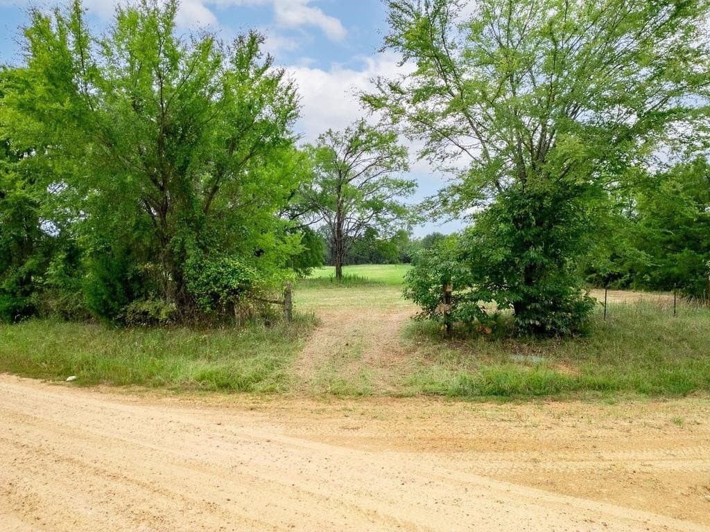 19.43 acres in Bowie County - photo 24