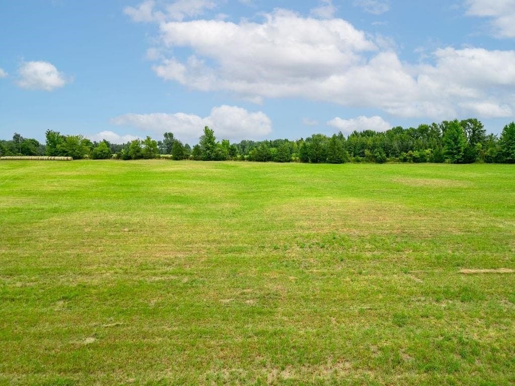 19.43 acres in Bowie County - photo 17