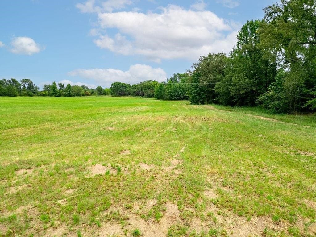 19.43 acres in Bowie County - photo 18