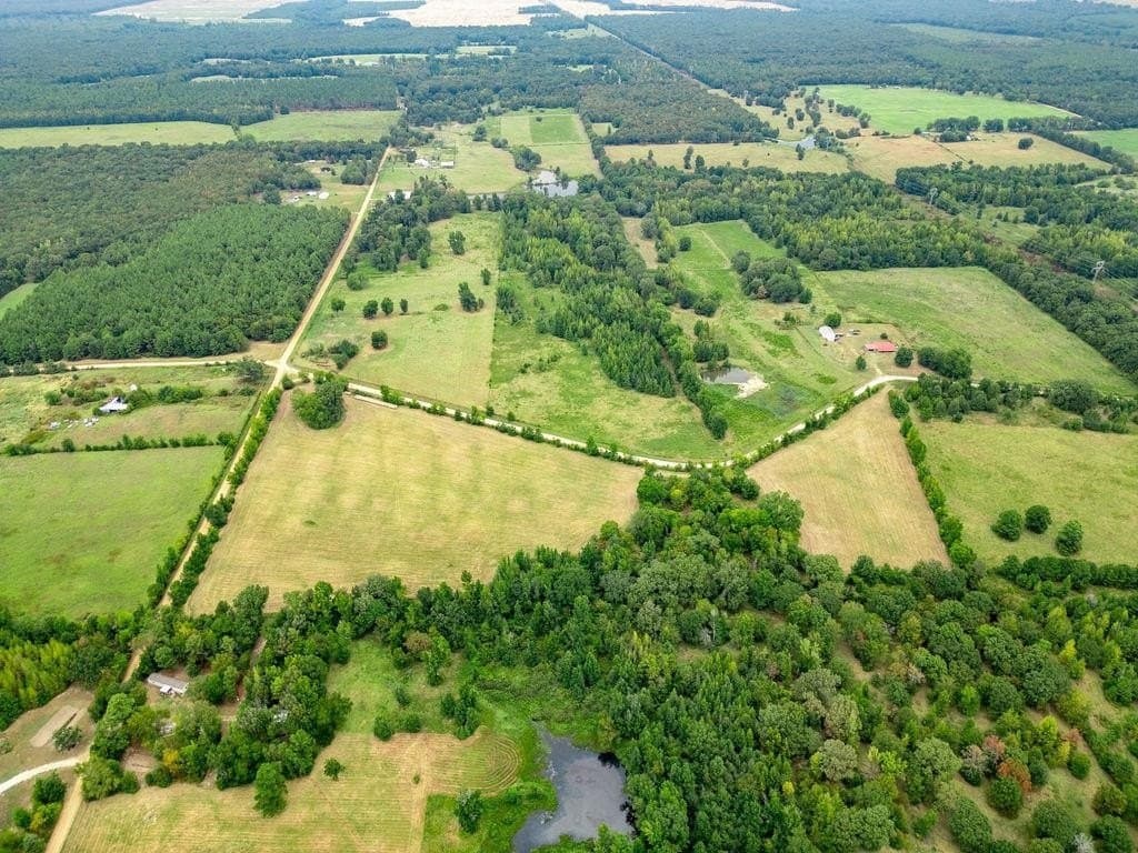 19.43 acres in Bowie County - photo 8