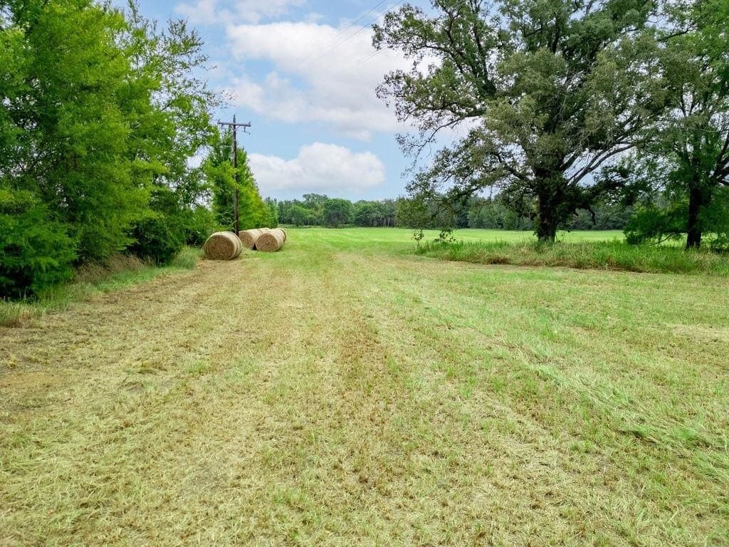 19.43 acres in Bowie County - photo 23