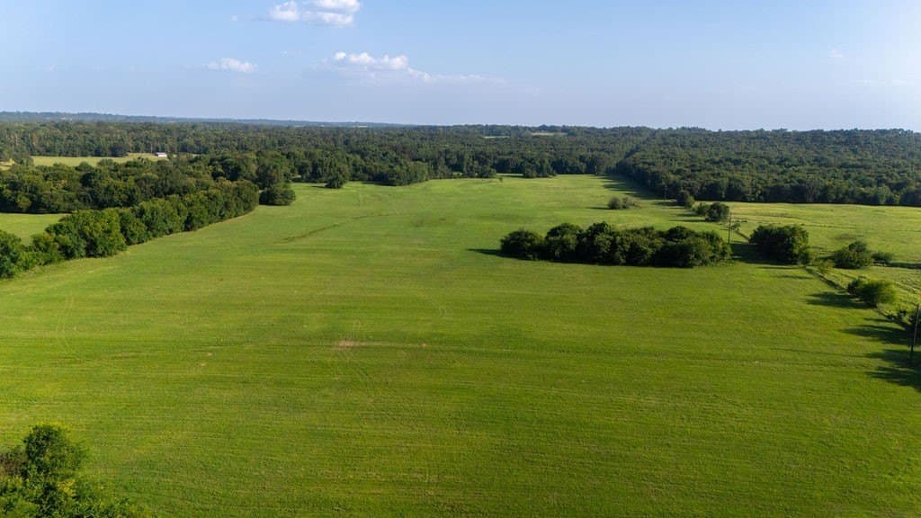 70 acres in Franklin (TX) County - photo 8