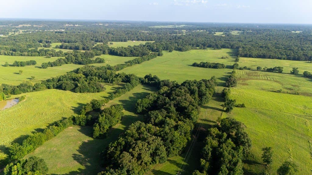 70 acres in Franklin (TX) County - photo 16