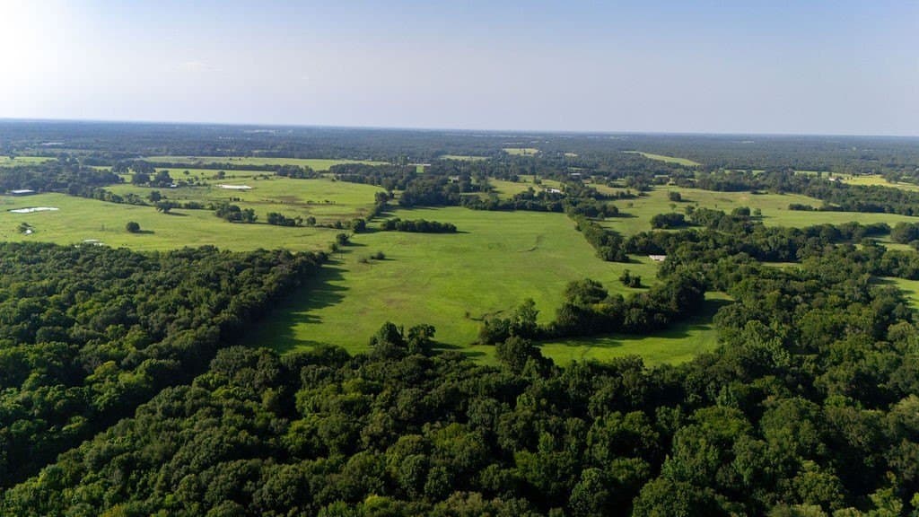 70 acres in Franklin (TX) County - photo 12