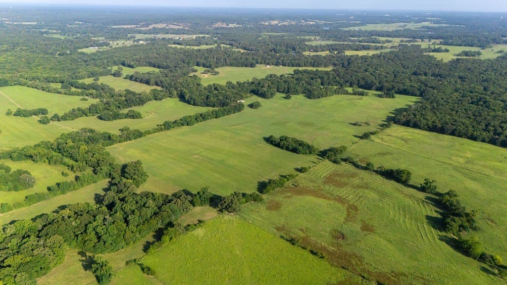 70 acres in Franklin (TX) County - photo 5