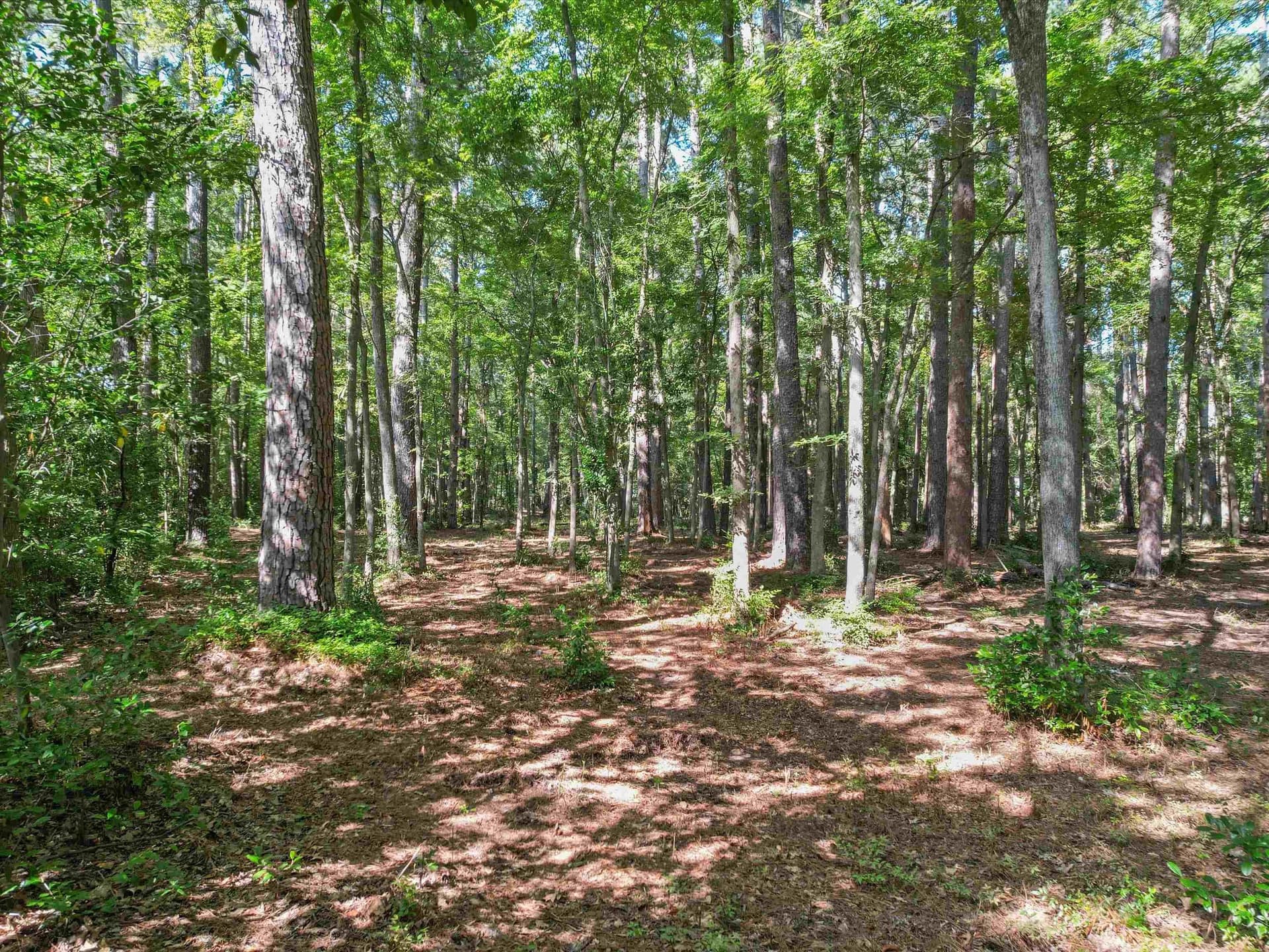 4.33 acres in Morris County gallery image 3