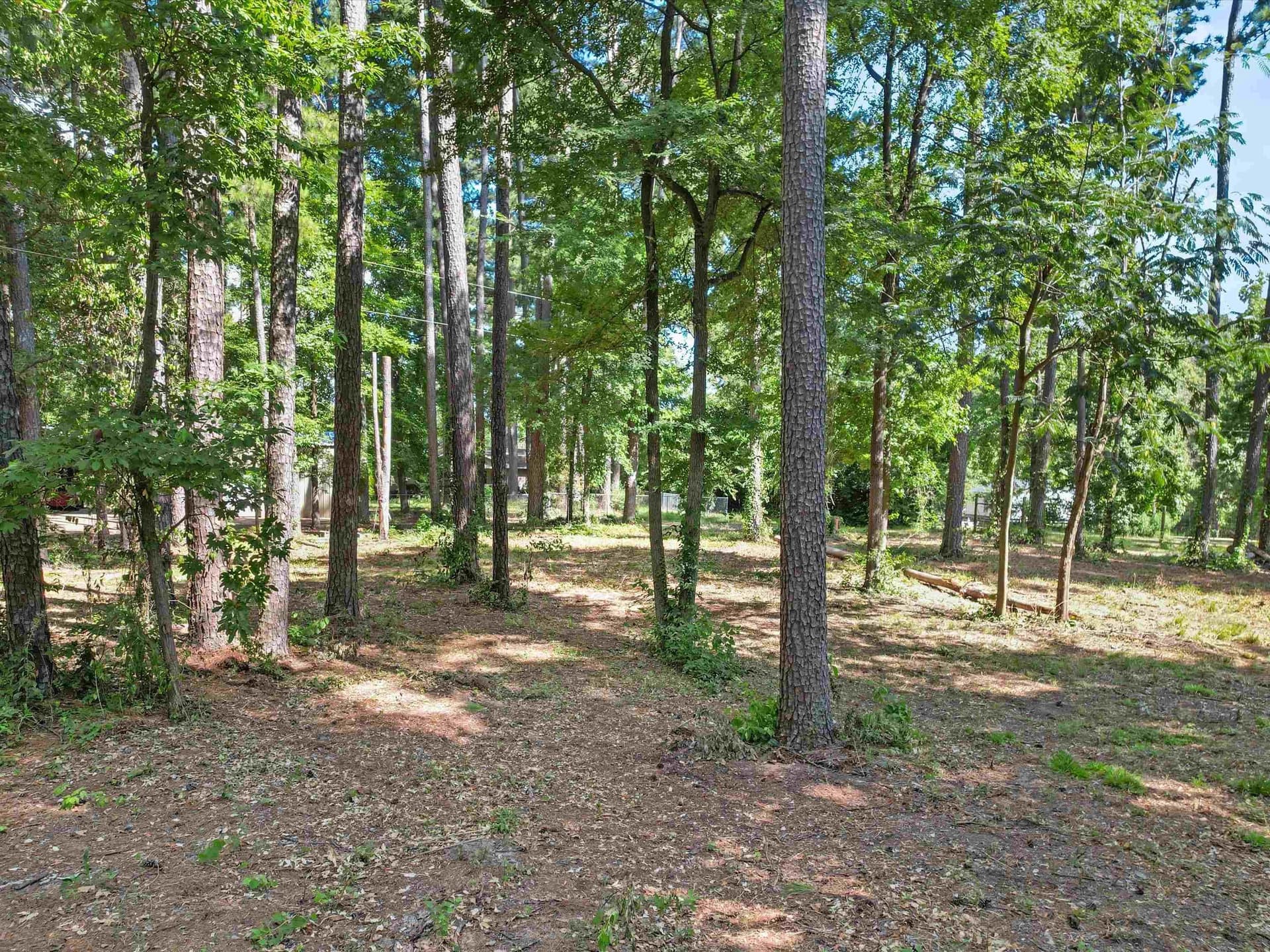 4.33 acres in Morris County - photo 11
