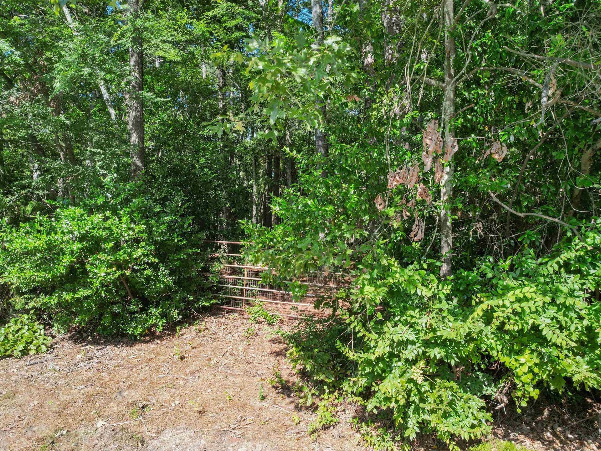 4.33 acres in Morris County gallery image 4