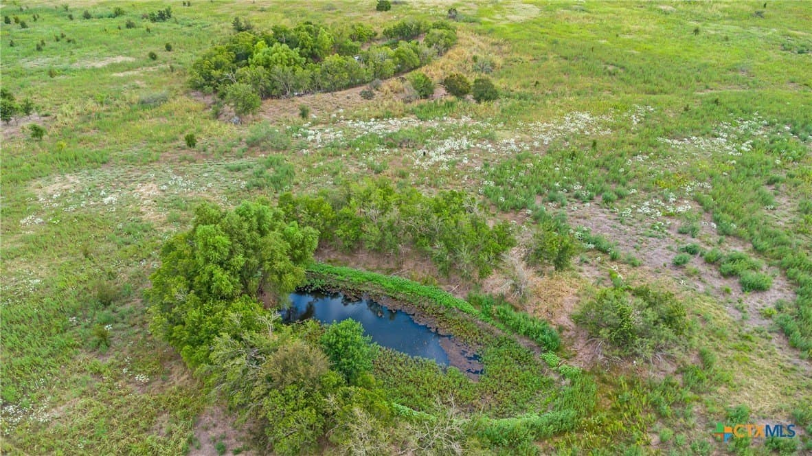 150.17 acres in Williamson County gallery image 4