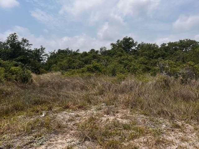 1.5 acres in San Patricio County gallery image 2