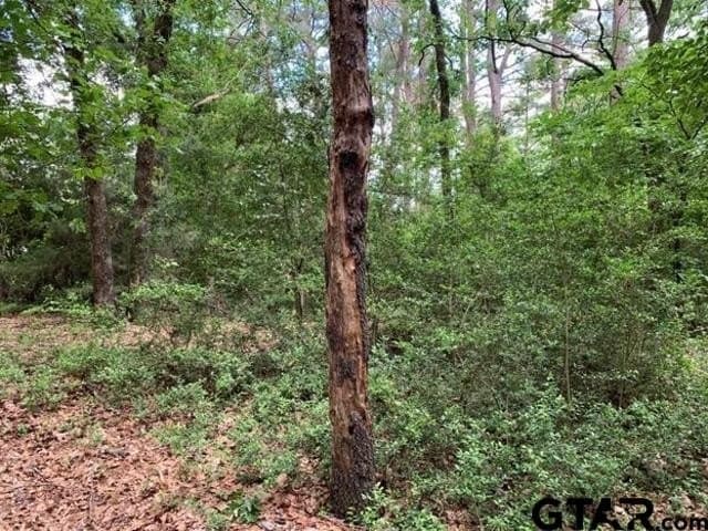 1.51 acres in Wood County gallery image 4