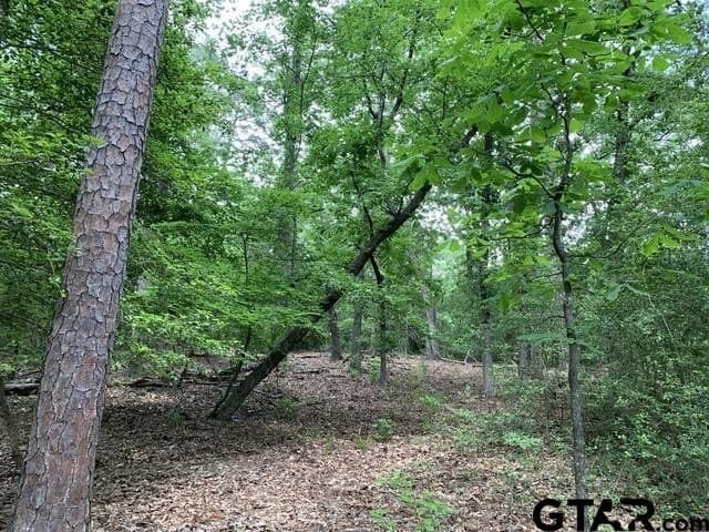 1.51 acres in Wood County - photo 8