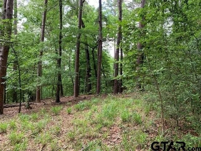 1.51 acres in Wood County gallery image 3