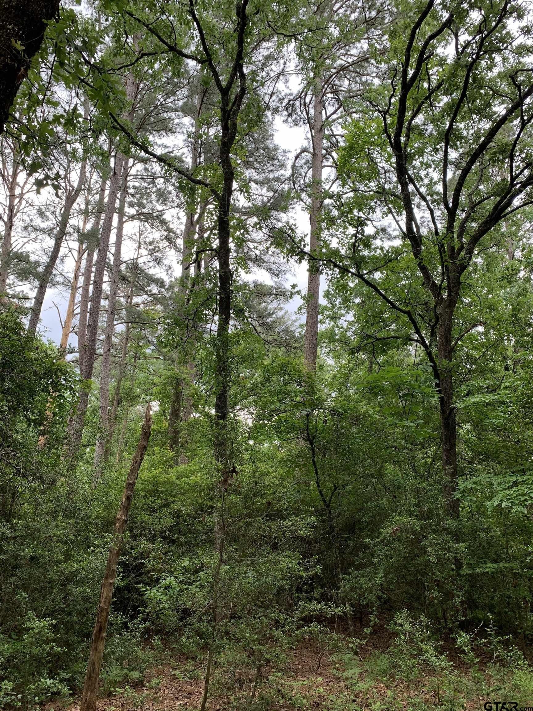 1.51 acres in Wood County featured view