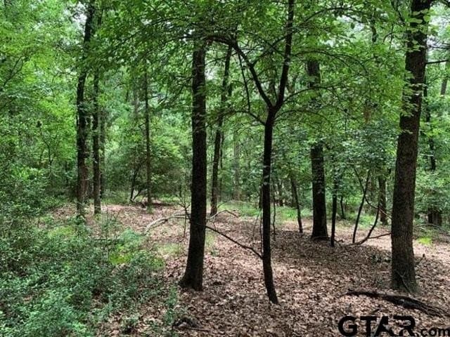 1.51 acres in Wood County gallery image 2