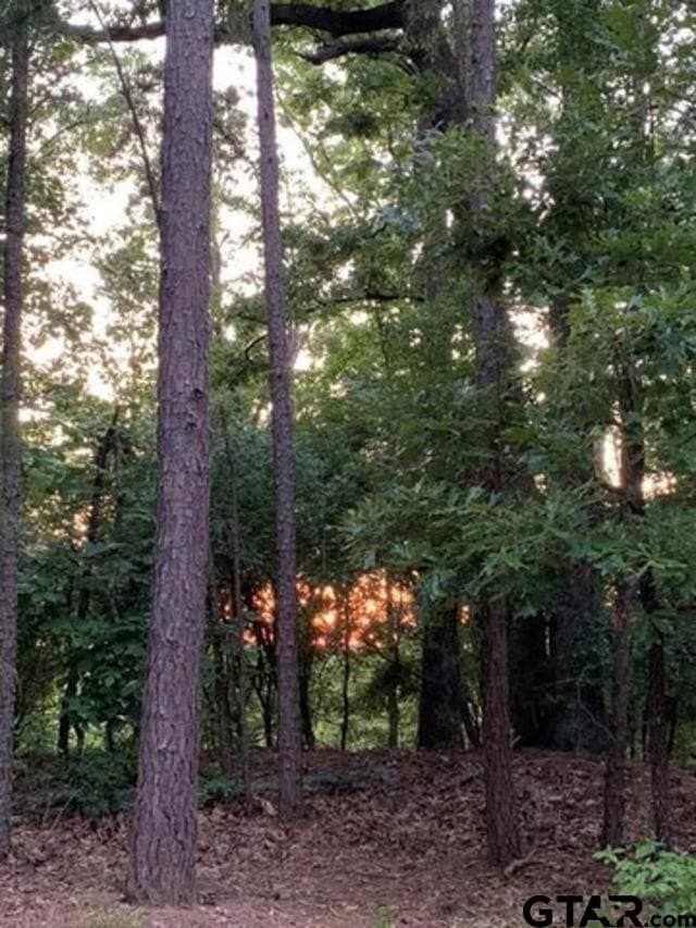 1.51 acres in Wood County - photo 9