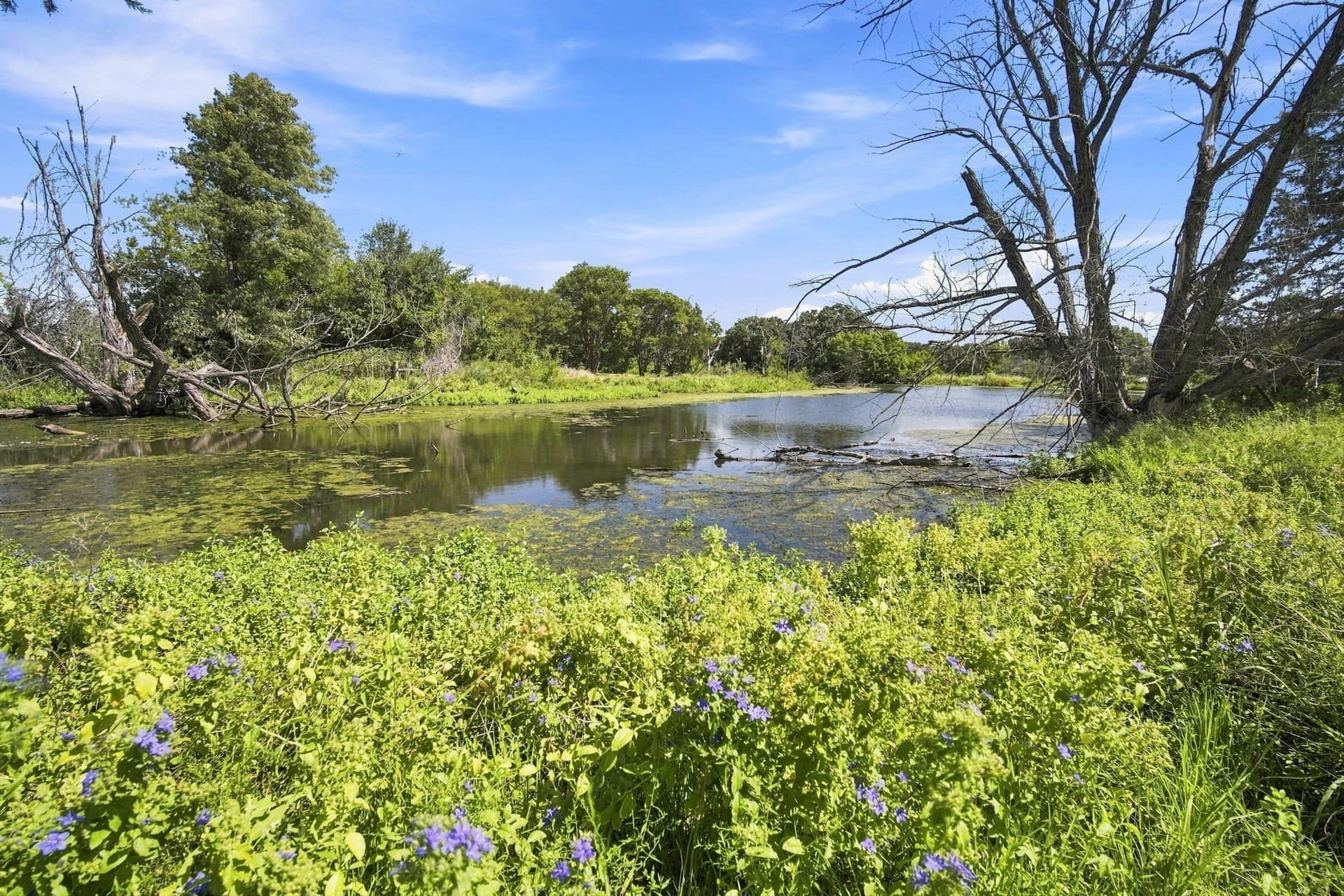 10 acres in Kaufman County - photo 36