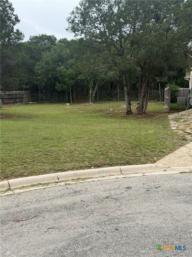 0.19 acres in Comal County gallery image 4