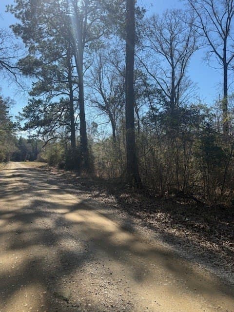 40.88 acres in Texas County featured view