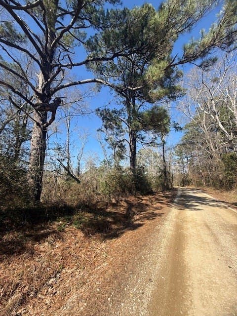 40.88 acres in Texas County gallery image 4