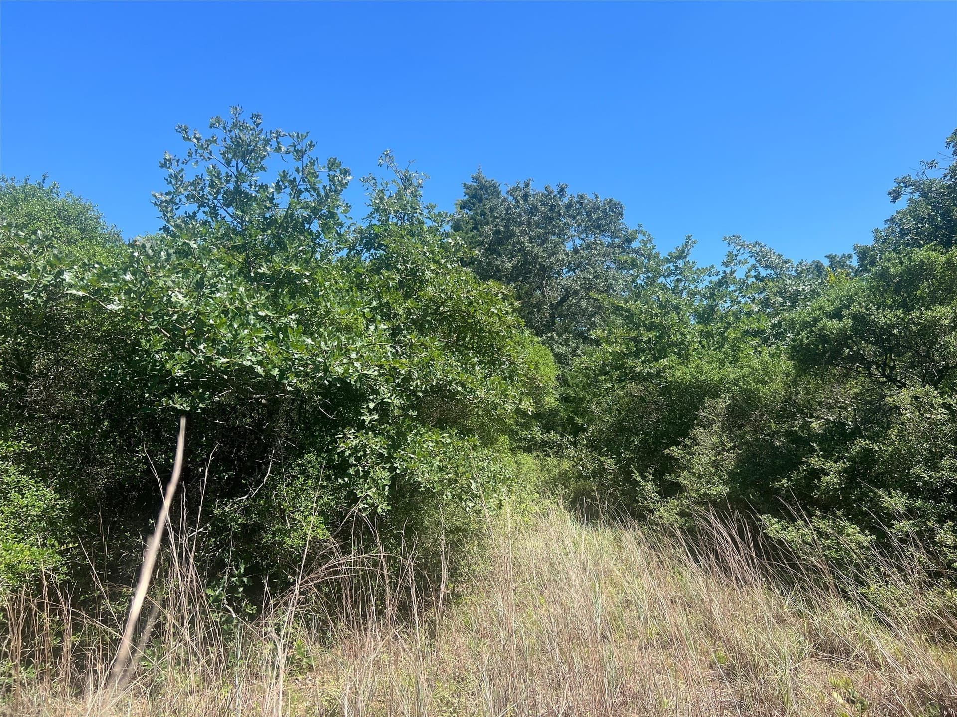 30.1 acres in Leon County - photo 11