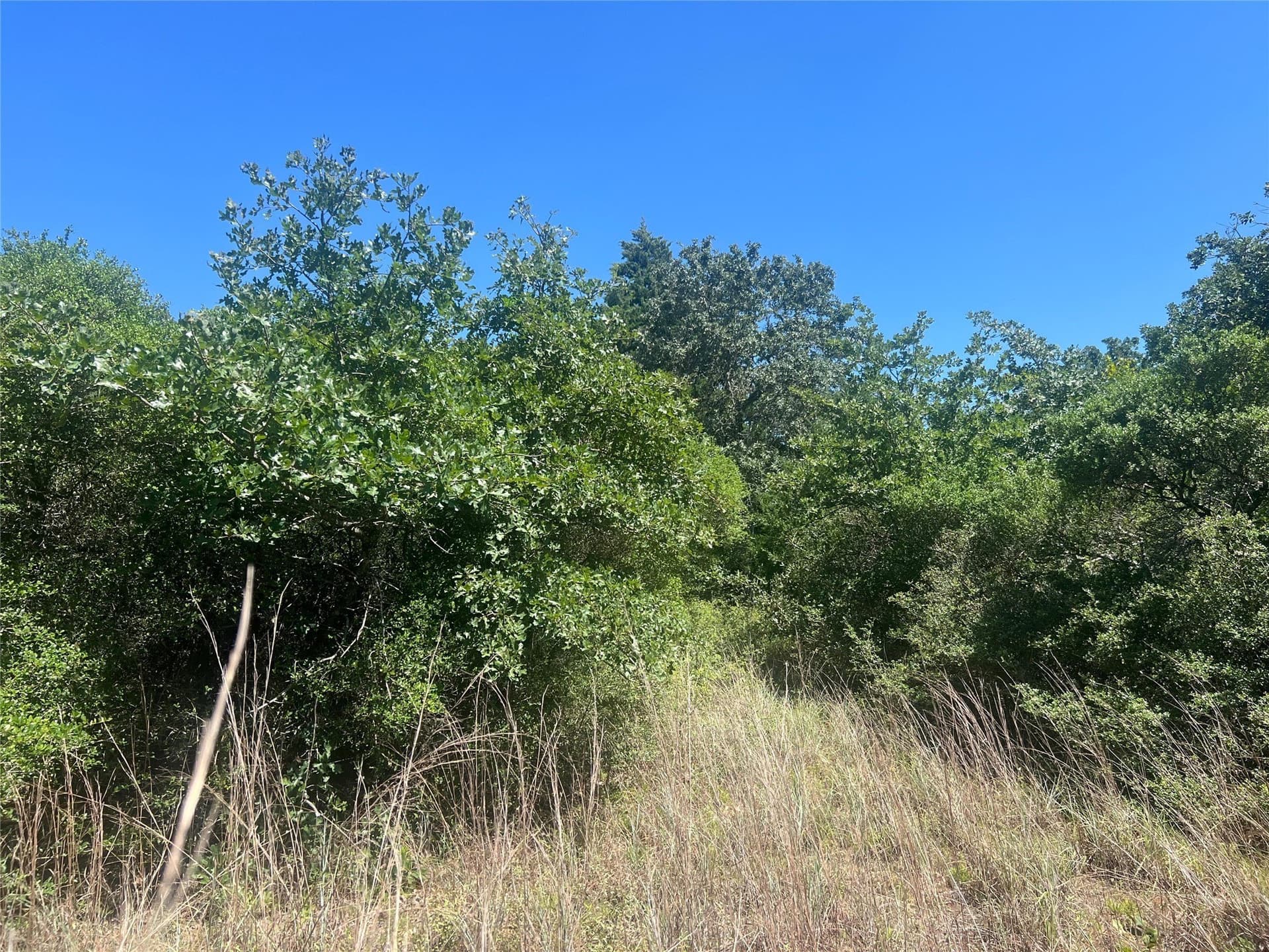 30.1 acres in Leon County - photo 2