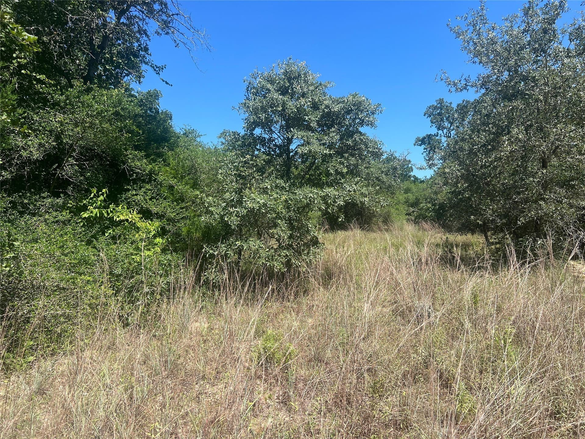 30.1 acres in Leon County