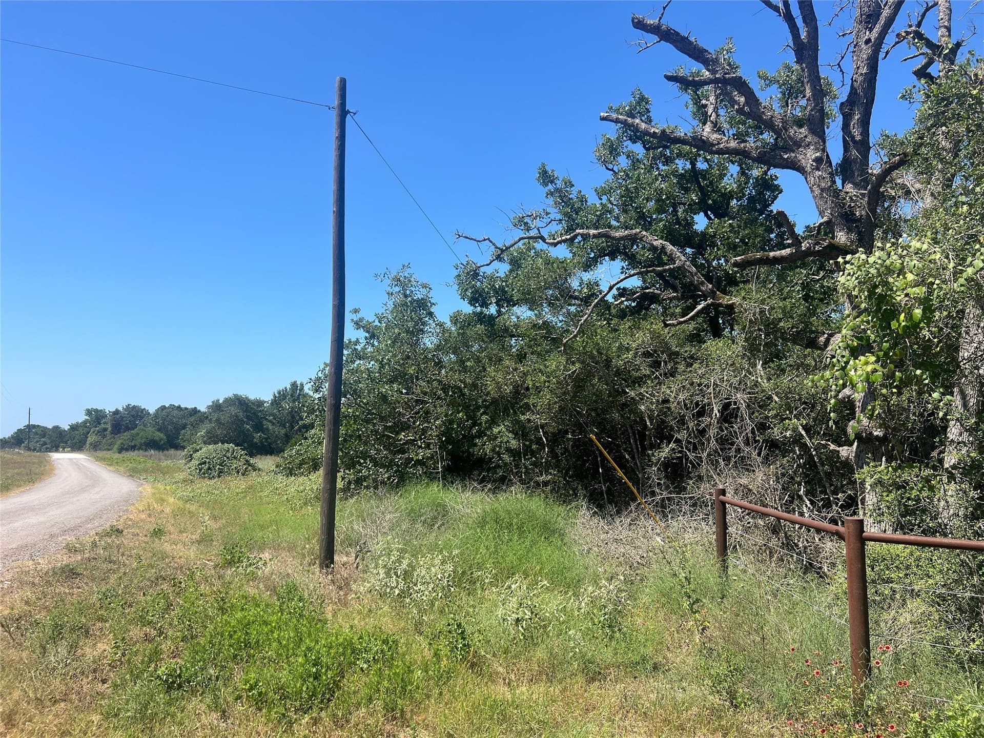 30.1 acres in Leon County - photo 8