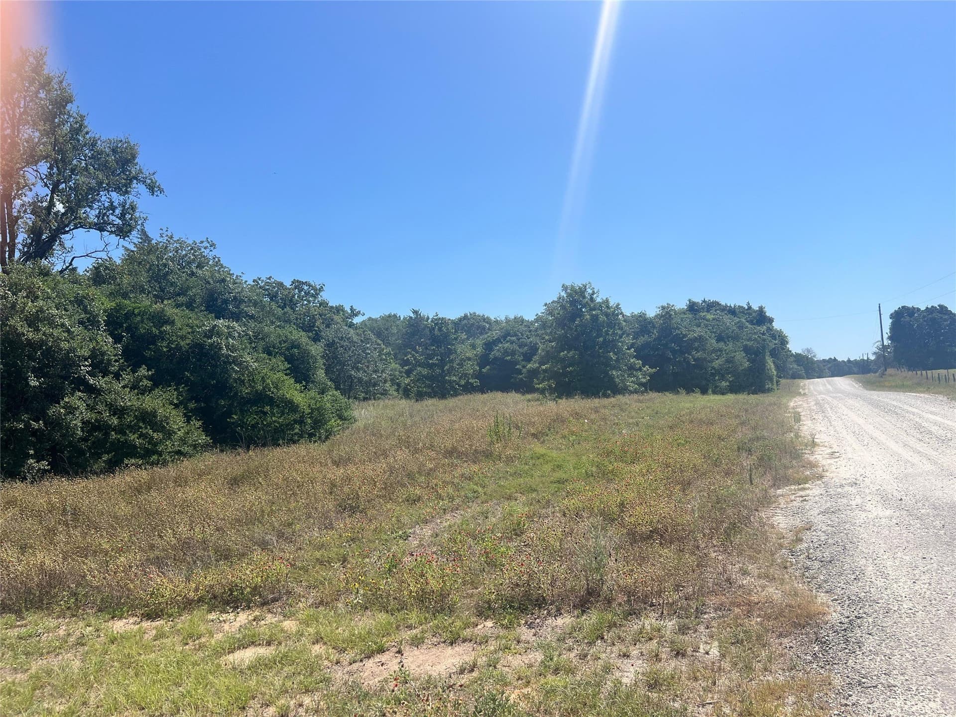 30.1 acres in Leon County - photo 10