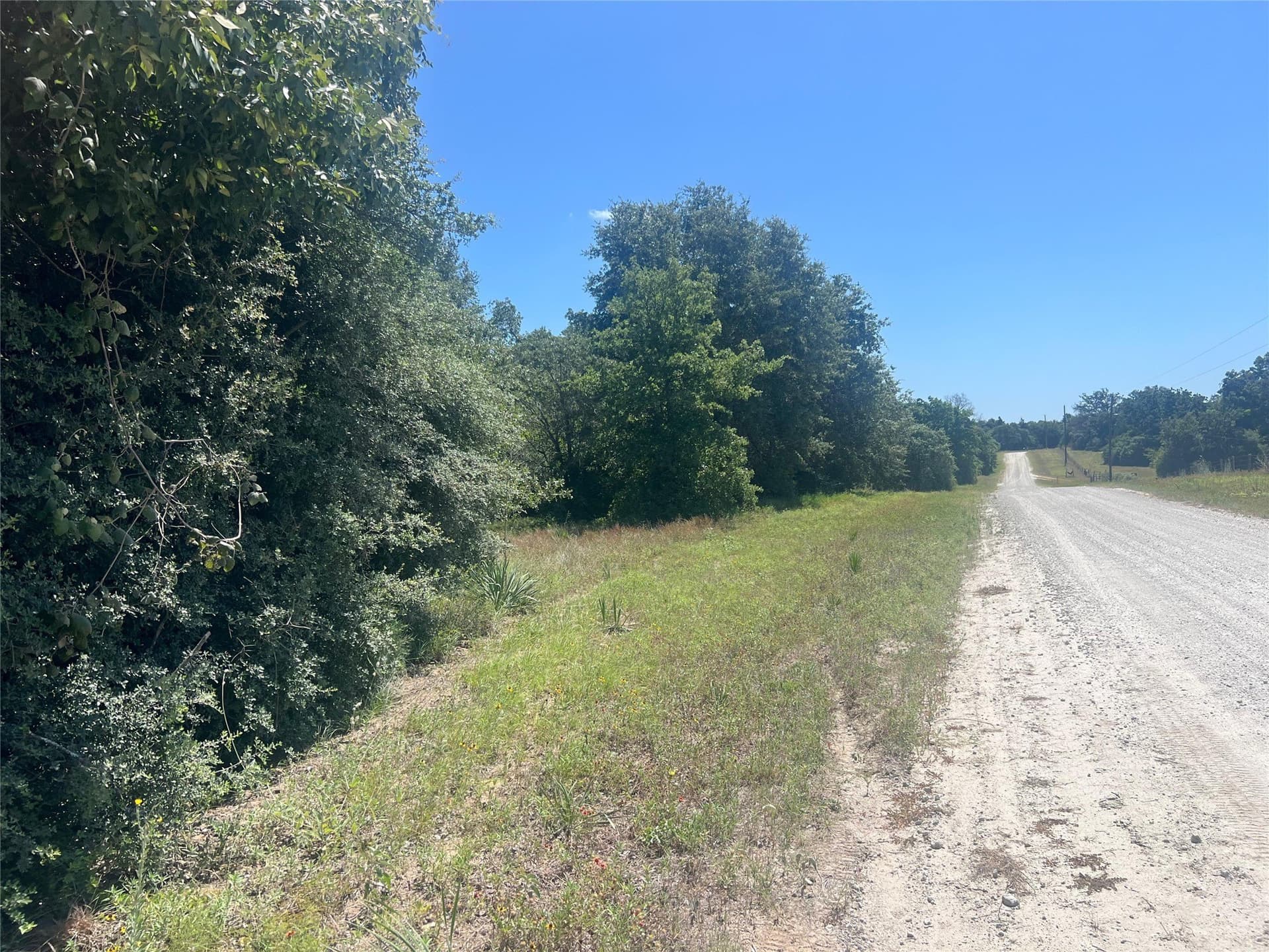 30.1 acres in Leon County - photo 9