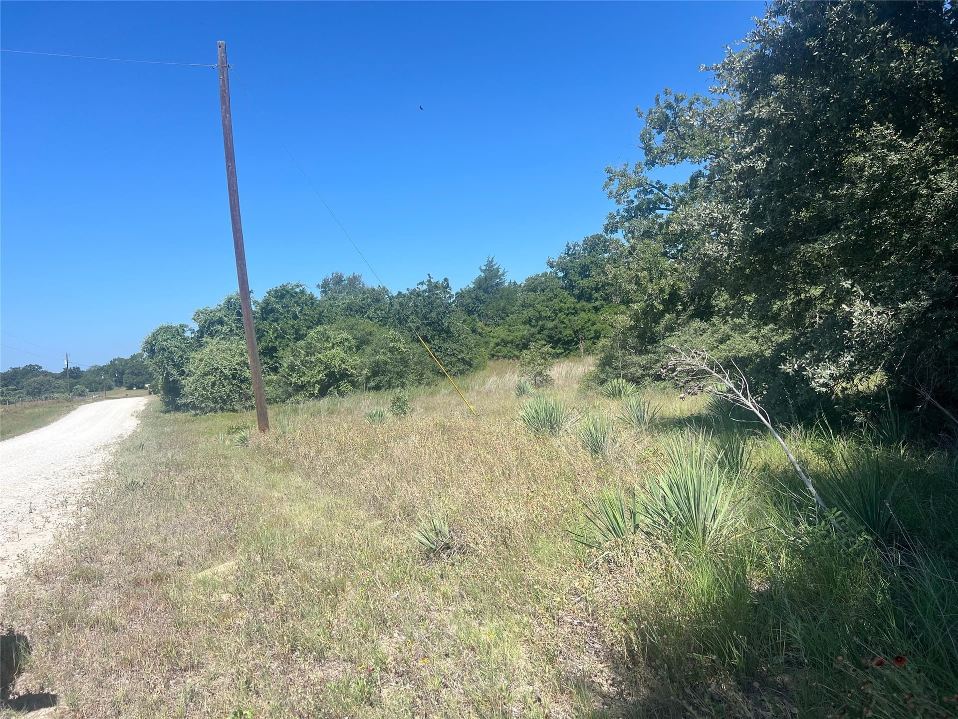 30.1 acres in Leon County - photo 12