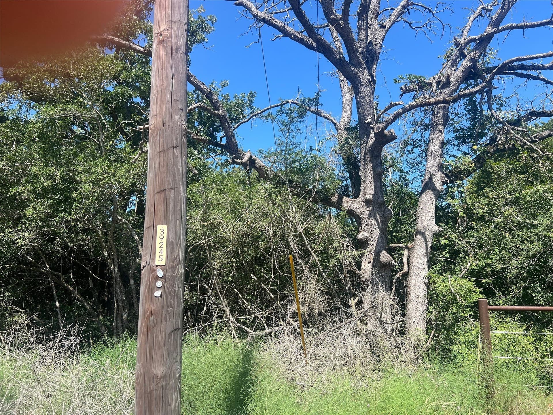 30.1 acres in Leon County - photo 6