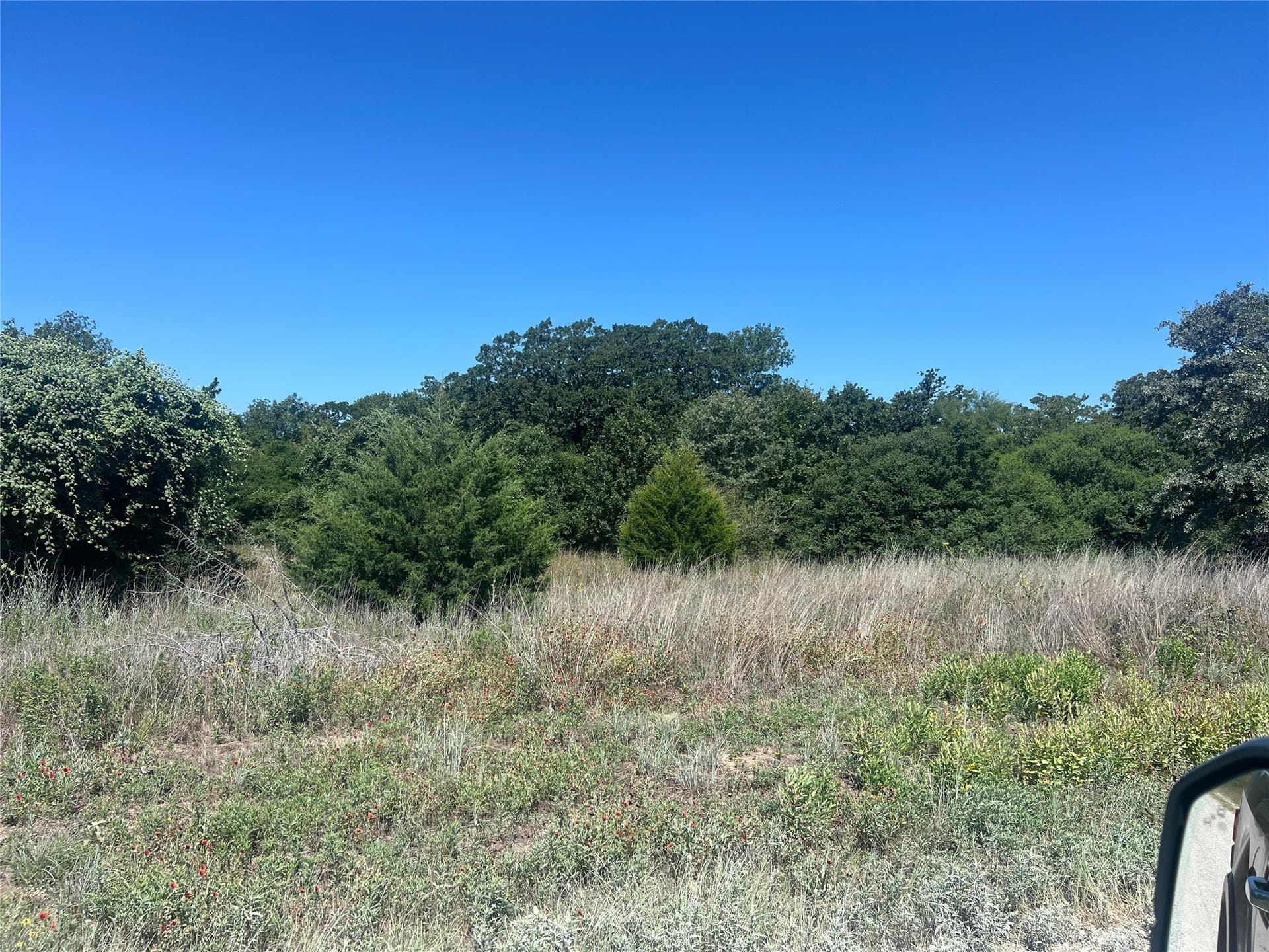 30.1 acres in Leon County - photo 7