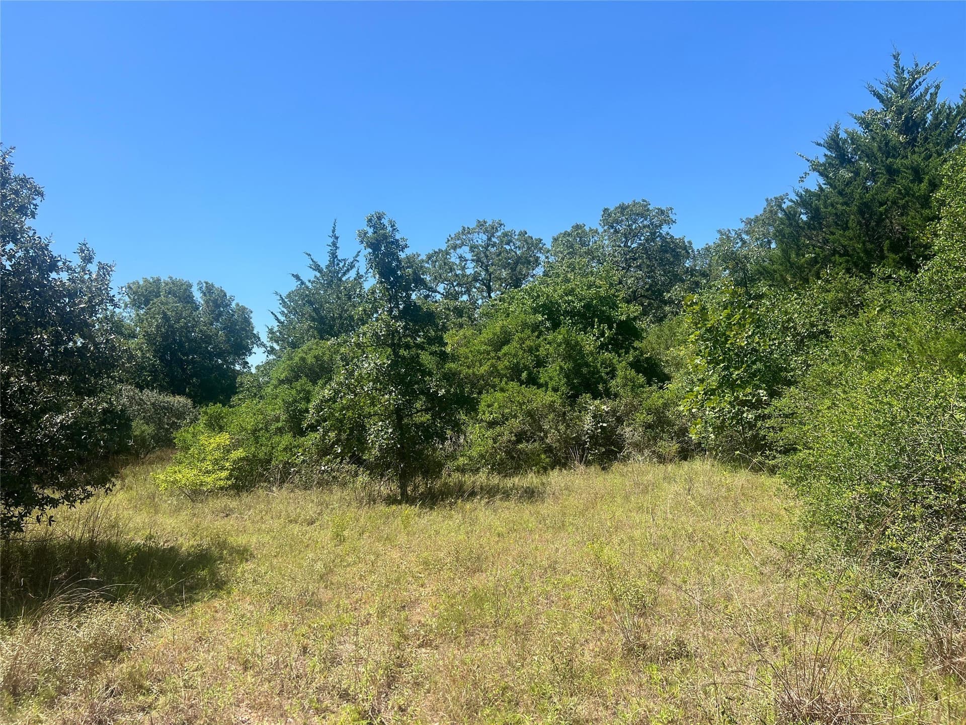 30.1 acres in Leon County - photo 13