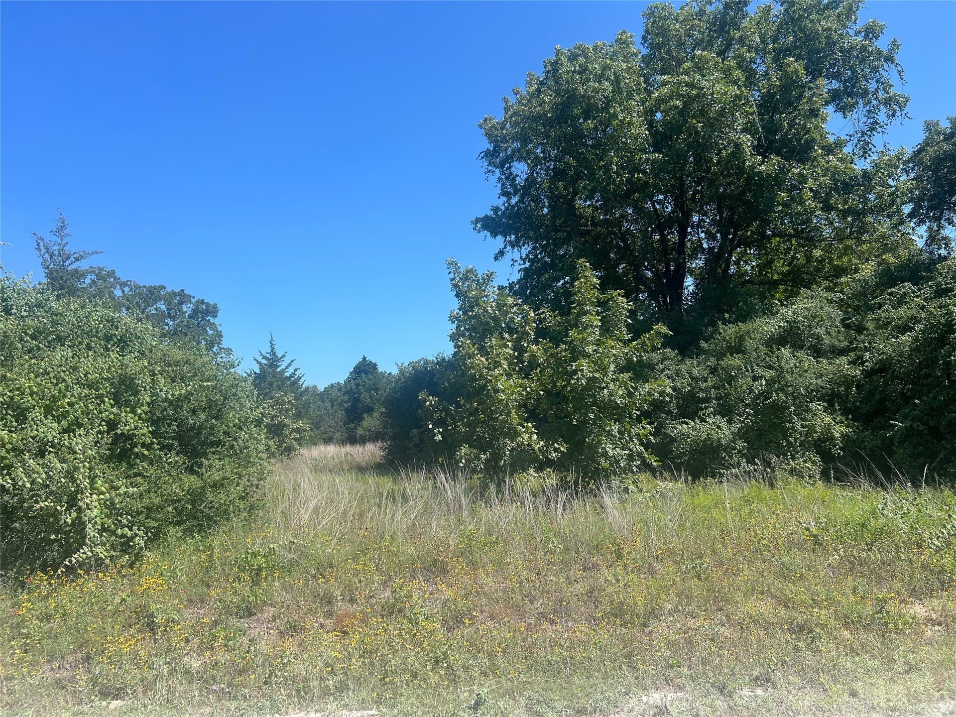 30.1 acres in Leon County - photo 14