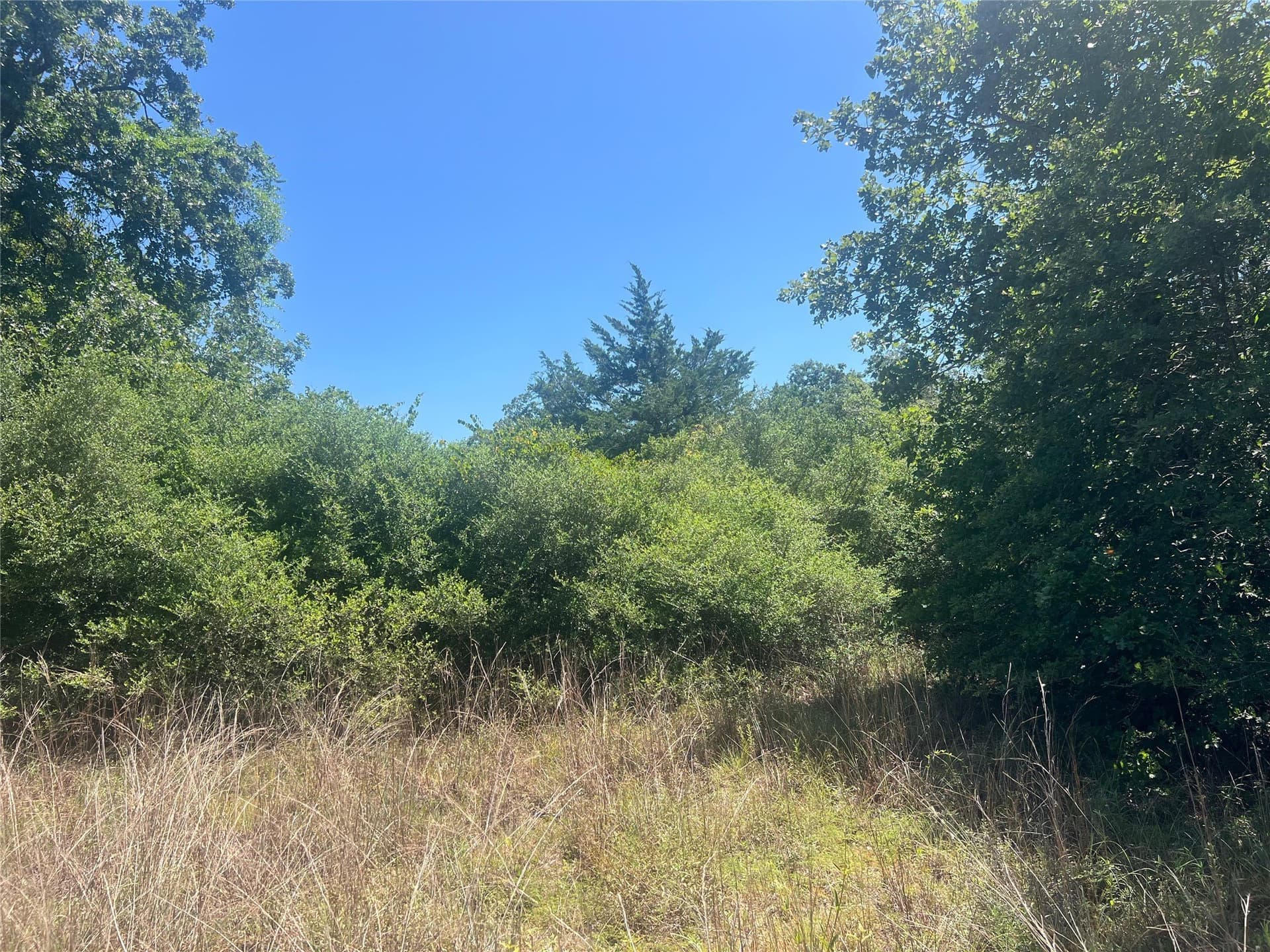 30.1 acres in Leon County - photo 5